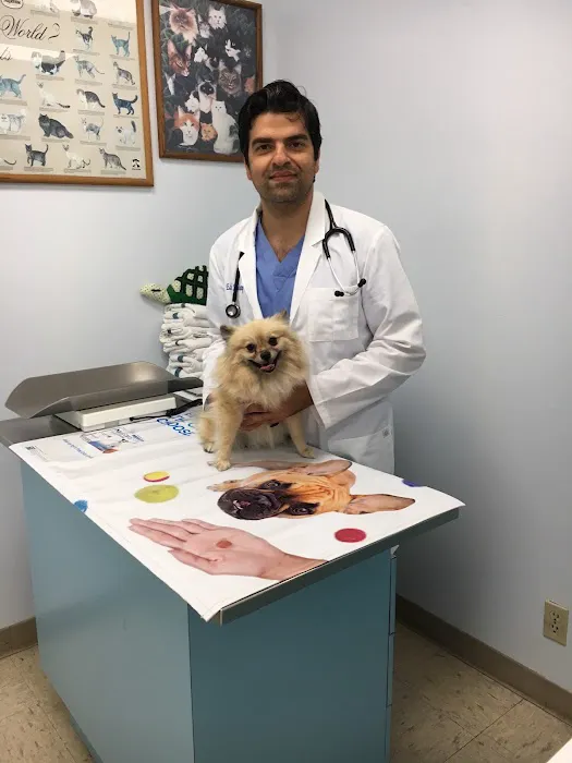 Sea Gate Veterinary Hospital Picture 1