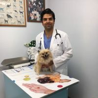Sea Gate Veterinary Hospital ico