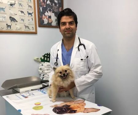Sea Gate Veterinary Hospital