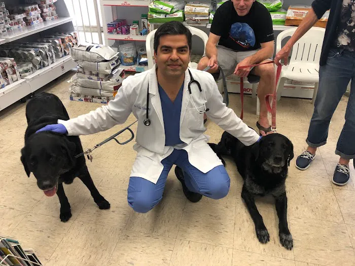 Sea Gate Veterinary Hospital Picture 2