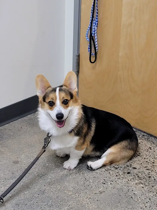 Vetco Total Care Animal Hospital Picture 5