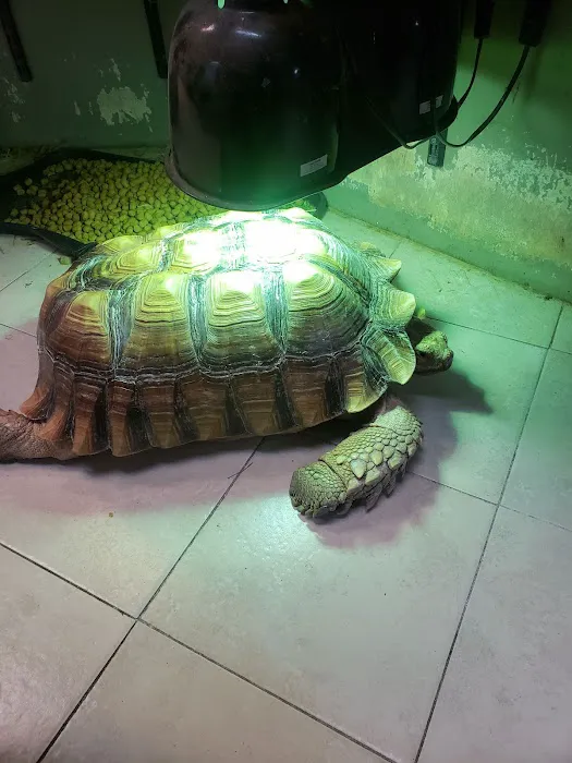 Cape Horn Incredible Pets Picture 1