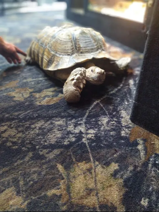 Cape Horn Incredible Pets Picture 3