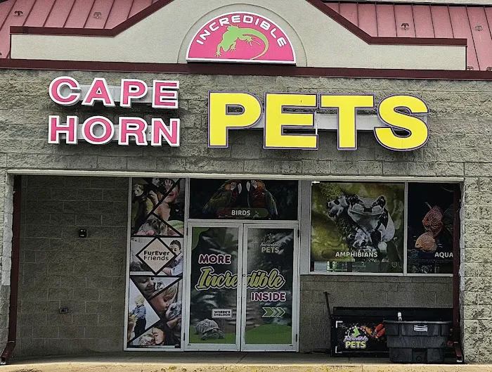 Cape Horn Incredible Pets Picture 10