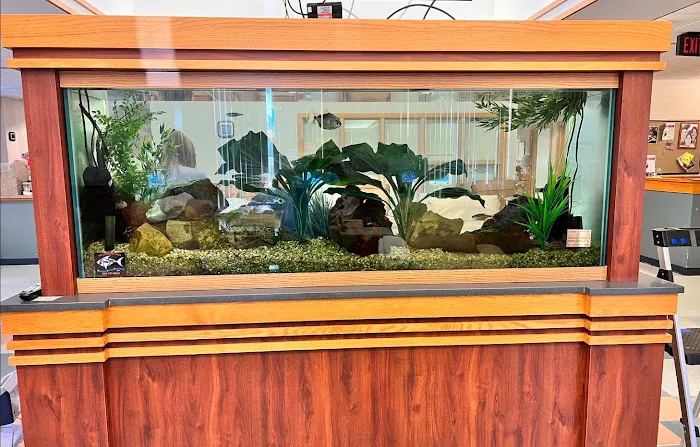 Aquarium Services Professionals Picture 7