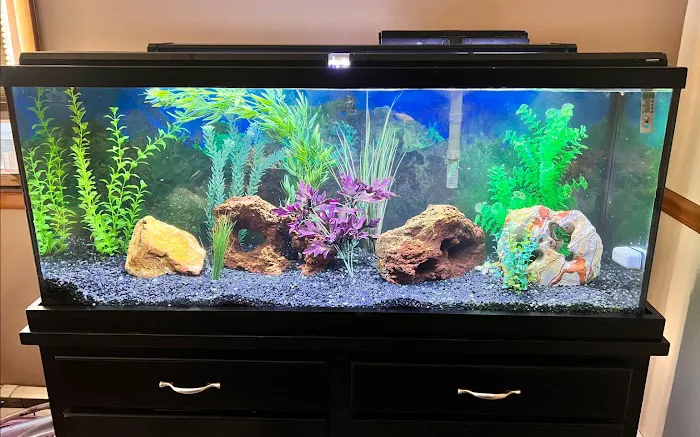 Aquarium Services Professionals Picture 1