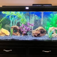 Aquarium Services Professionals ico