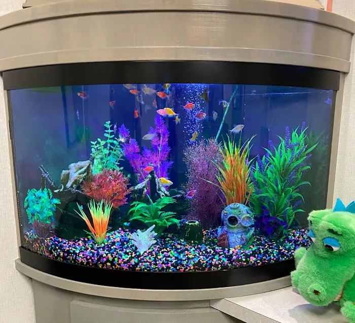 Aquarium Services Professionals Picture 5