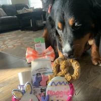 Canine Acres Bakery and Deli ico