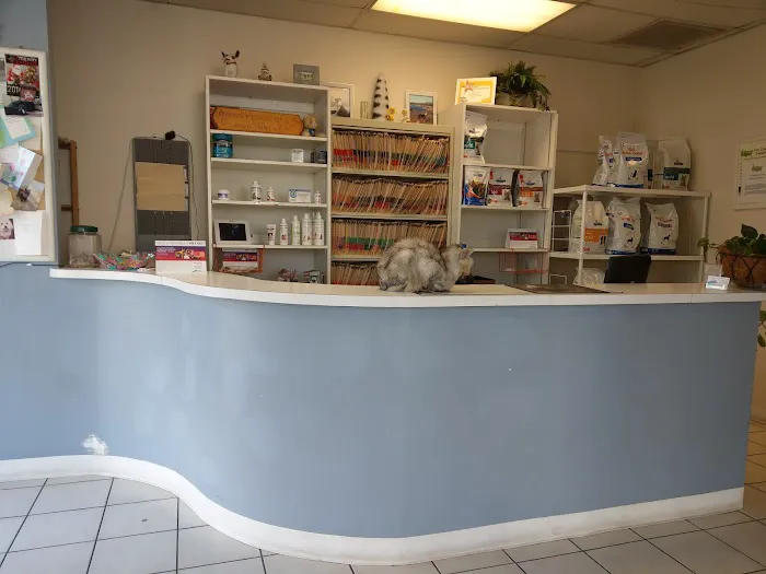 Animal Hospital Picture 7