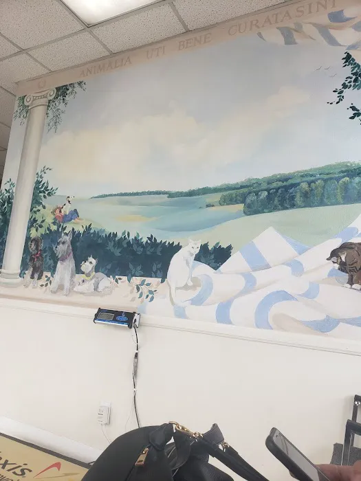 Animal Hospital Picture 5