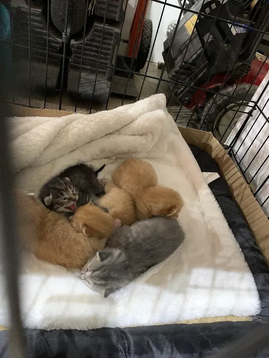 Petco Picture 8