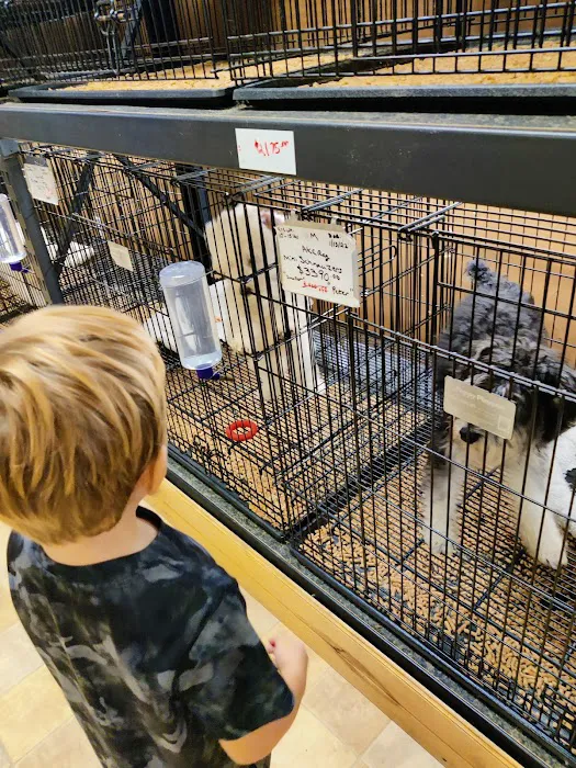 Little Paws Dog Shop LLC Picture 10