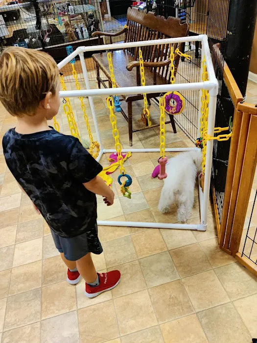 Little Paws Dog Shop LLC Picture 6