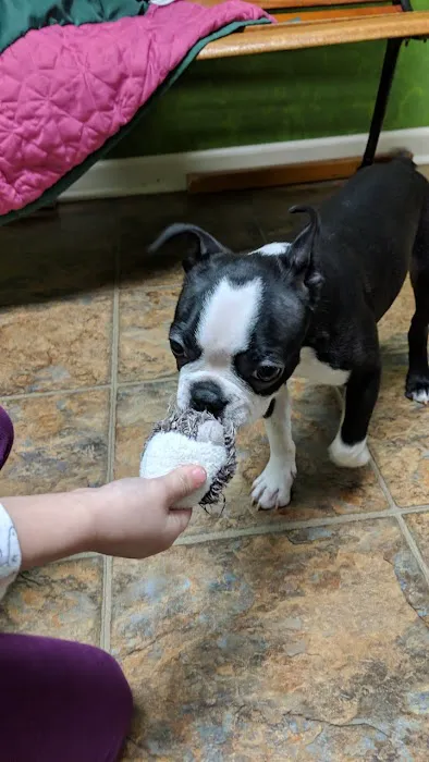 Little Paws Dog Shop LLC Picture 1