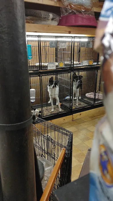 Little Paws Dog Shop LLC Picture 8