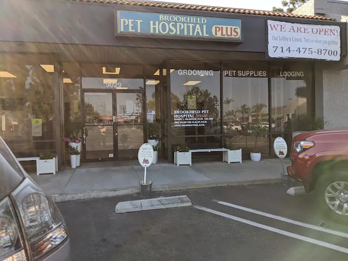 Brookfield Pet Hospital Plus Picture 6