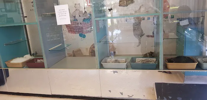 Brookfield Pet Hospital Plus Picture 4