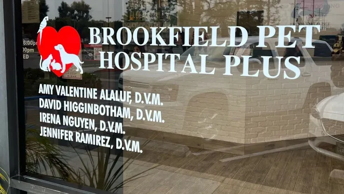 Brookfield Pet Hospital Plus Picture 10