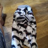 Lucy's Dog Dudds ico
