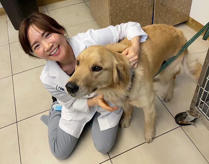 Hope Veterinary Care Picture 8
