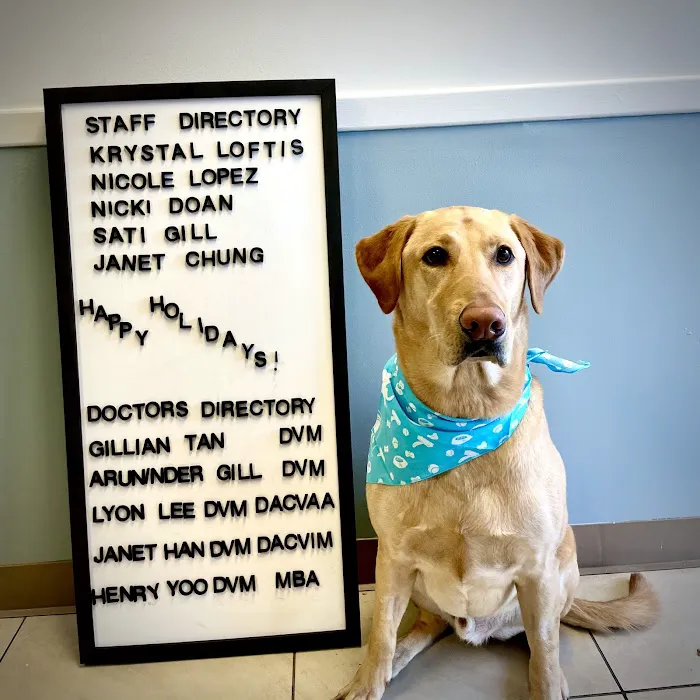 Hope Veterinary Care Picture 7