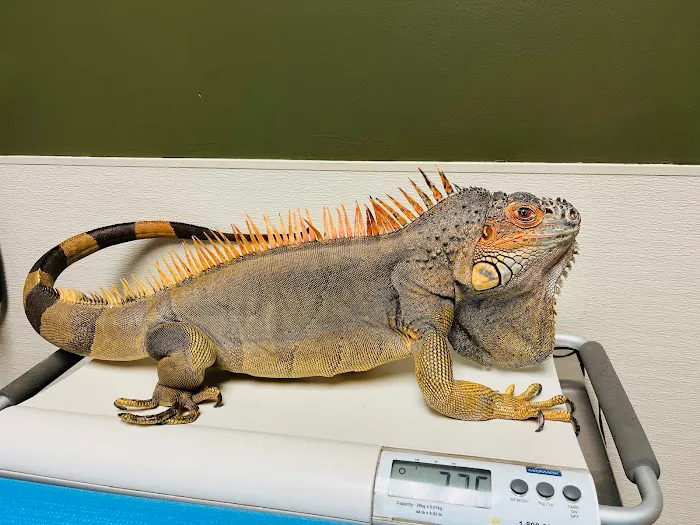 Baker Bristol Pet Hospital Picture 1