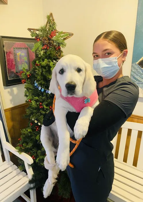 Baker Bristol Pet Hospital Picture 6