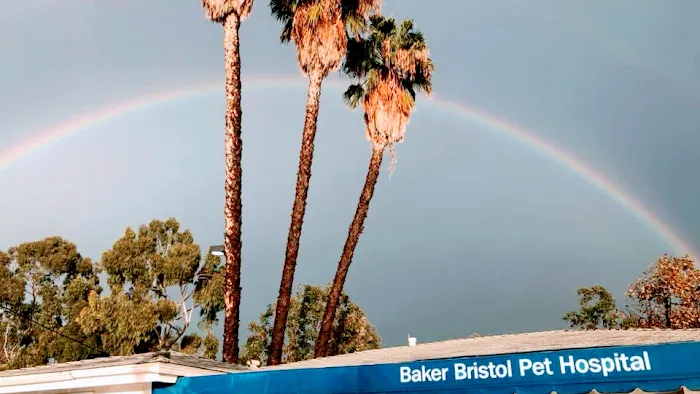 Baker Bristol Pet Hospital Picture 4