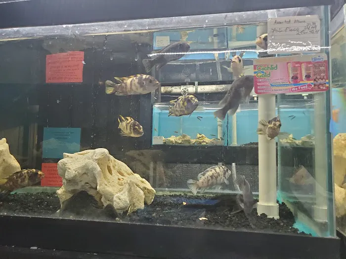 World Wide Aquarium & Pets Picture 4