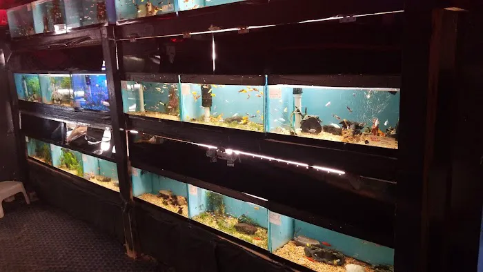 World Wide Aquarium & Pets Picture 6