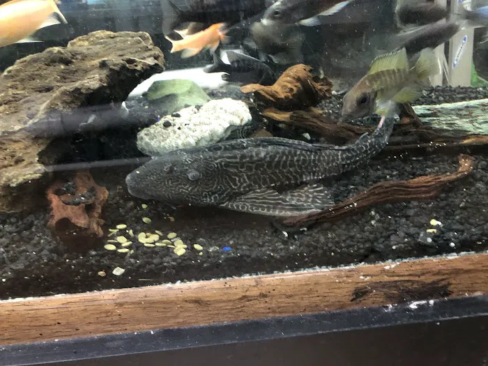 World Wide Aquarium & Pets Picture 8