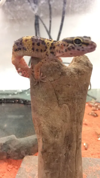 World Wide Aquarium & Pets Picture 10