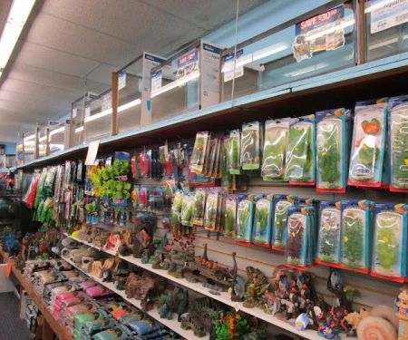World Wide Aquarium & Pets