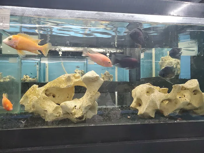 World Wide Aquarium & Pets Picture 3