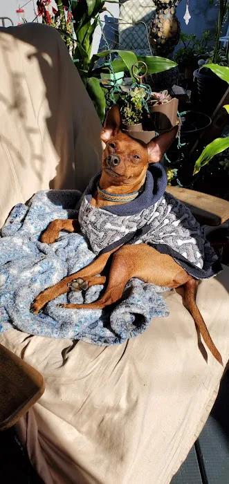 Family Animal Hospital Picture 9