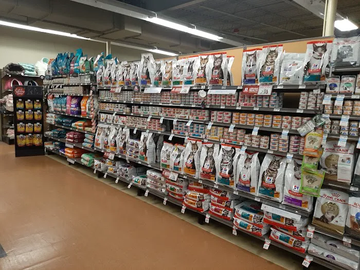 Petco Picture 6