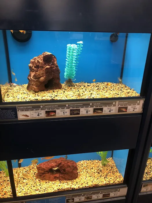 Petco Picture 1