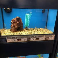Petco ico
