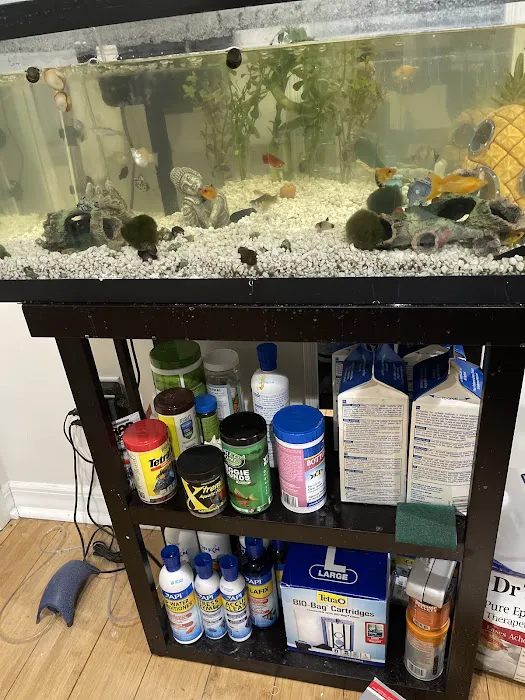 Petco Picture 5