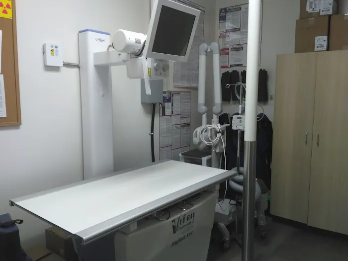 Vetco Total Care Animal Hospital Picture 6