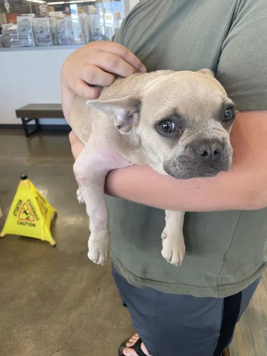 Vetco Total Care Animal Hospital Picture 7