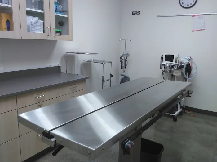 Vetco Total Care Animal Hospital Picture 1