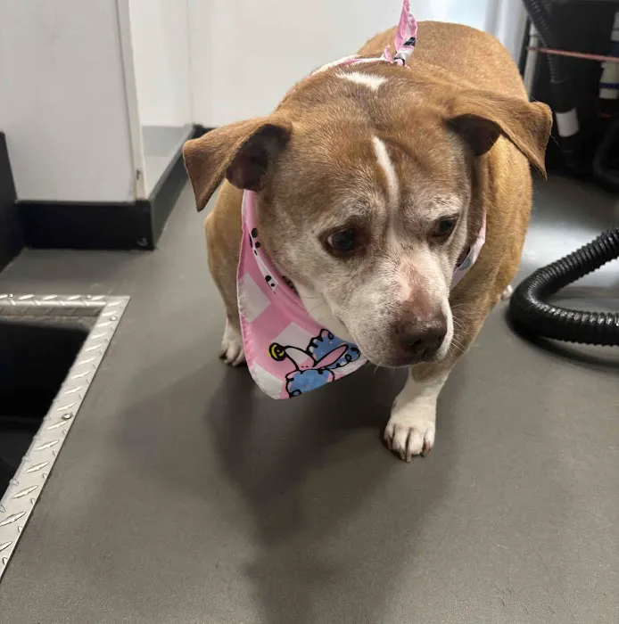 Vetco Total Care Animal Hospital Picture 8