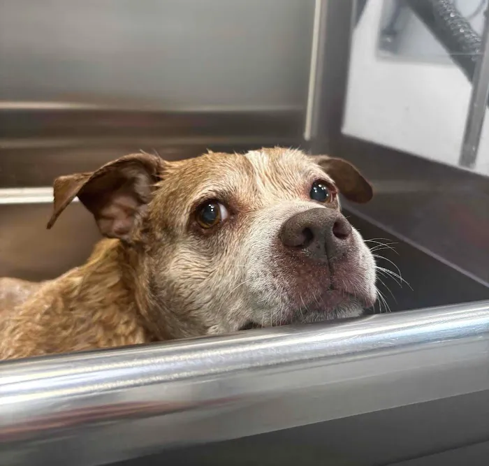 Vetco Total Care Animal Hospital Picture 5