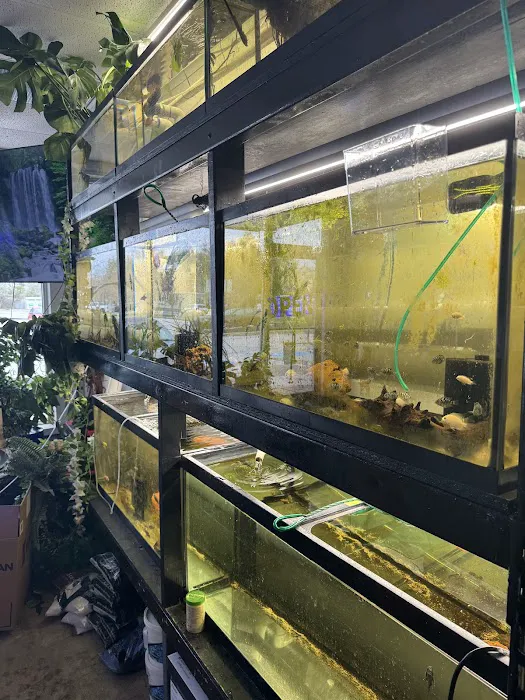 Go Fish A Fish Store & More Picture 1