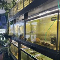 Go Fish A Fish Store & More ico