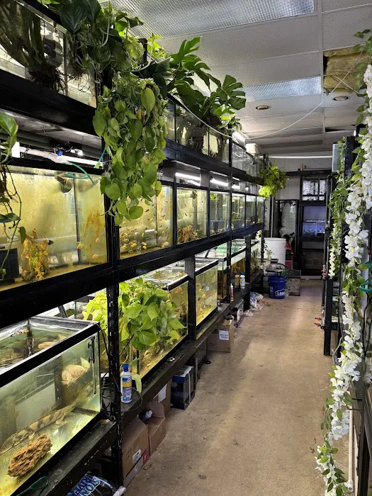 Go Fish A Fish Store & More Picture 7