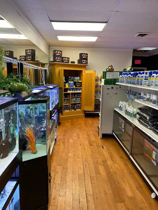 Go Fish A Fish Store & More Picture 9