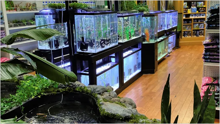 Go Fish A Fish Store & More Picture 10